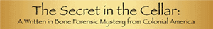 The Secret in the Cellar 